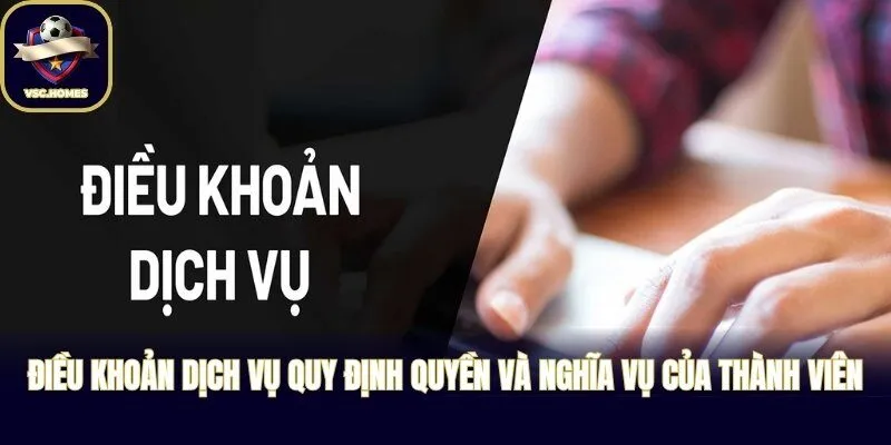 Điều khoản dịch vụ quy định quyền và nghĩa vụ của thành viên