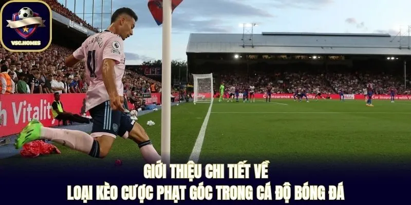 Giới thiệu chi tiết về loại kèo cược phạt góc trong cá độ bóng đá