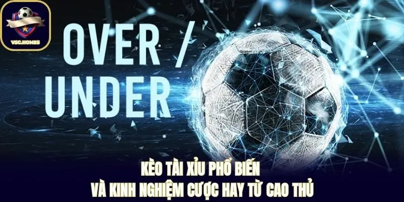 Kèo Tài Xỉu Phổ Biến Và Kinh Nghiệm Cược Hay Từ Cao Thủ