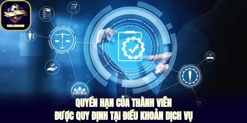 Quyền hạn của thành viên được quy định tại điều khoản dịch vụ