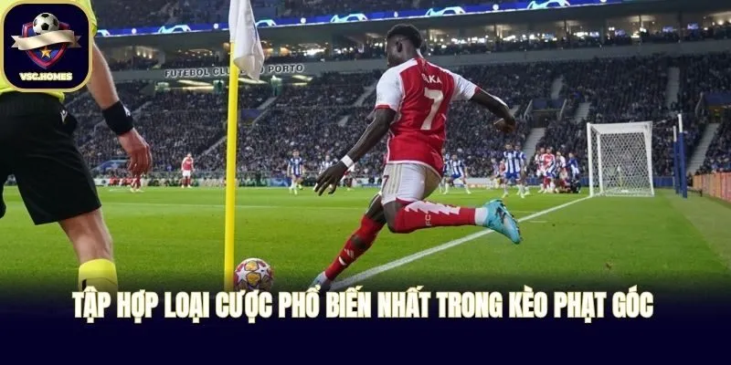 Tập hợp loại cược phổ biến nhất trong kèo phạt góc 