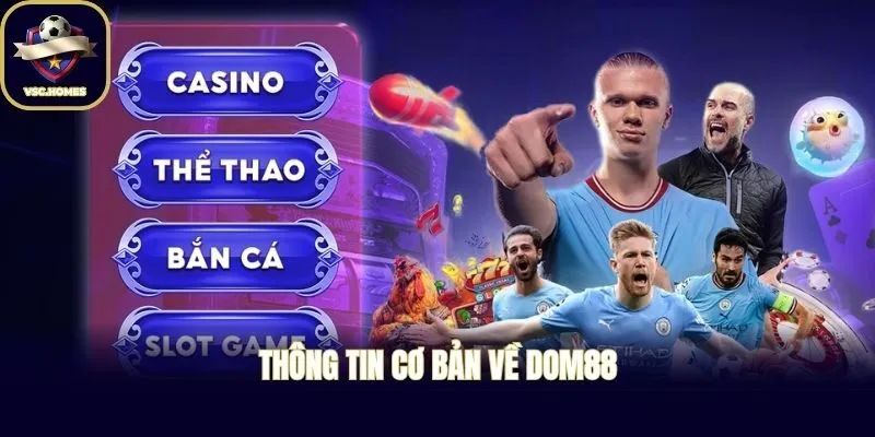 Thông tin cơ bản về DOM88