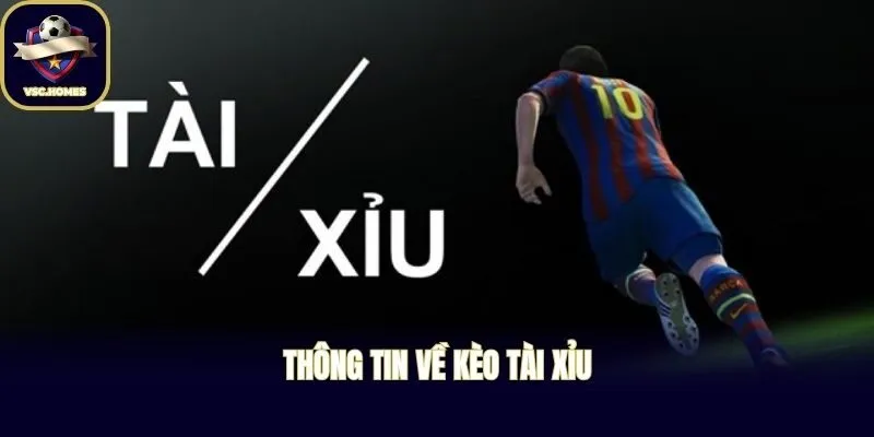 Thông tin về kèo Tài Xỉu