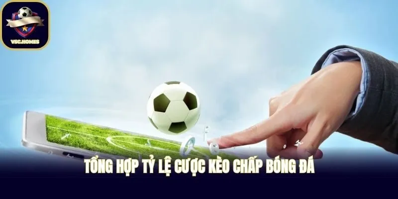 Tổng hợp tỷ lệ cược kèo chấp bóng đá